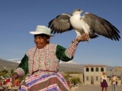 W stroju ludowym i z pięknym ptakiem (PERU)