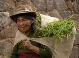 Dżwigając płachtę z trawą (PERU)