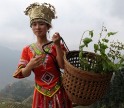 Dziewczyna z plemienia Zhuang, spotkana na polach ryżowych Longsheng pod Guilin (CHINY)