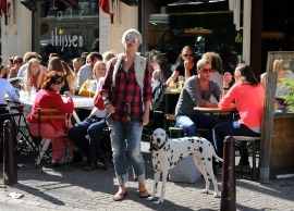 Z dalmatyńczykiem w Amsterdamie (HOLANDIA)