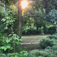 Dom i ogród o świcie (fot. Stanisław Błaszczyna) (10)